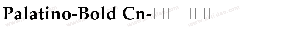 Palatino-Bold Cn字体转换